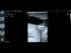 수의사 UL8-4T