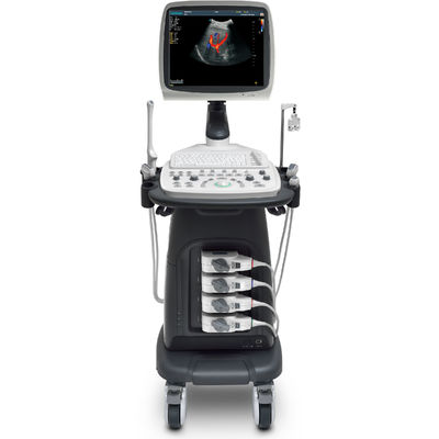주문 태아 영상 소노스케이프 초음파 기계 휴대용 초음파 손수레 S12 online manufacture