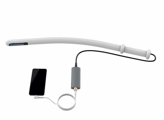 주문 말인 소과인 것을 위한 8MHz 수의학 가지고 다닐 수 있는 수의 초음파 online manufacture