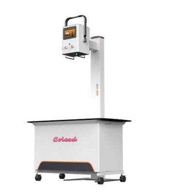 주문 작은 동물 애완 동물을 위한 8KW 수의 디지털 방사선 촬영 시스템 online manufacture